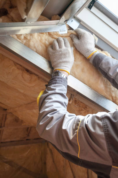 Insulation Replacement Services in Ruckersville, VA