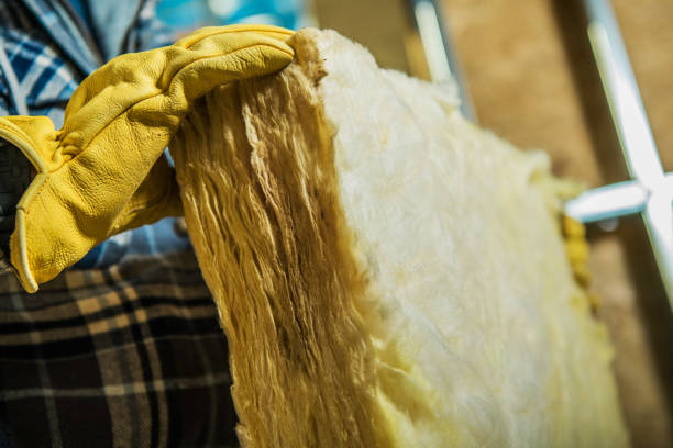 Insulation Repair Services in Ruckersville, VA