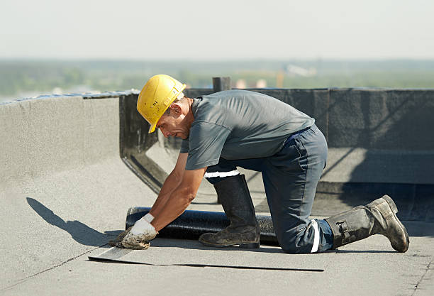 Best Blown-in Insulation  in Ruckersville, VA