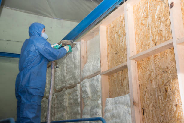 Best Cellulose Insulation  in Ruckersville, VA